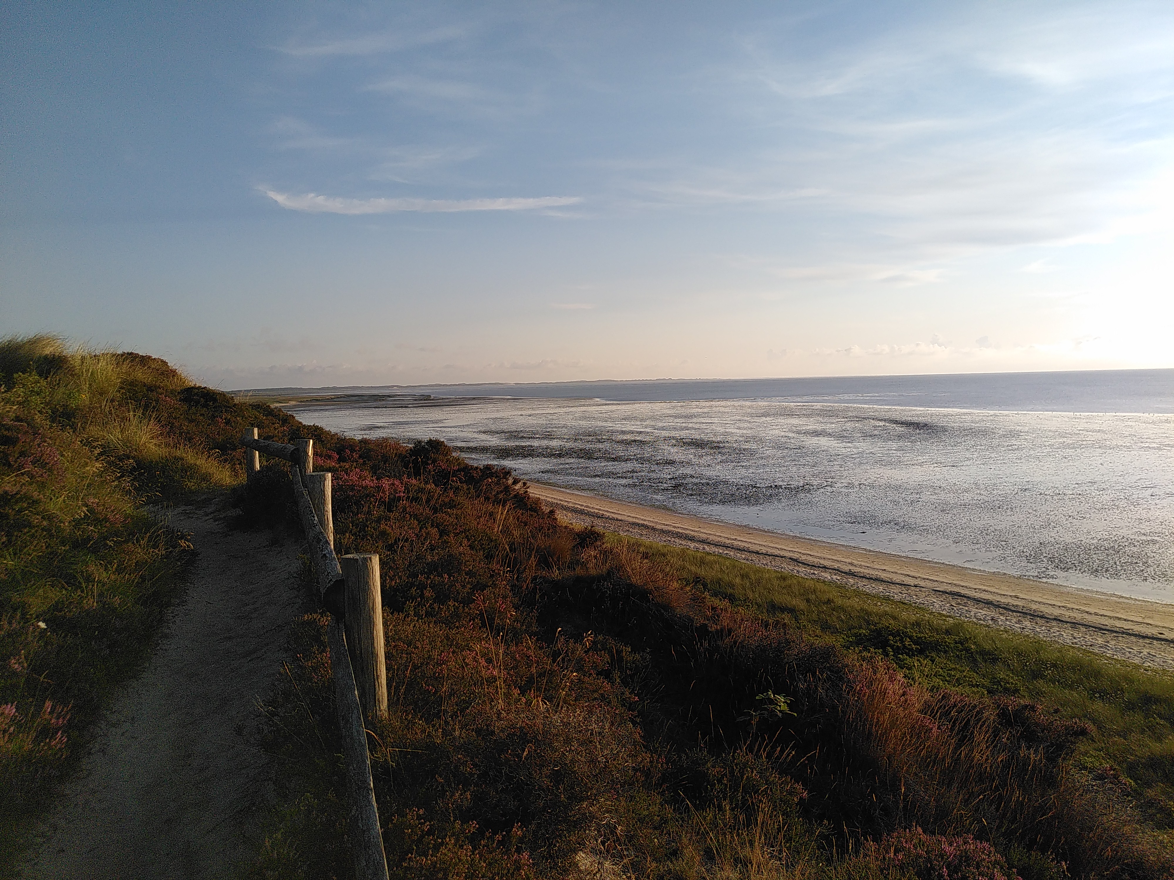 Morgenstimmung am Watt